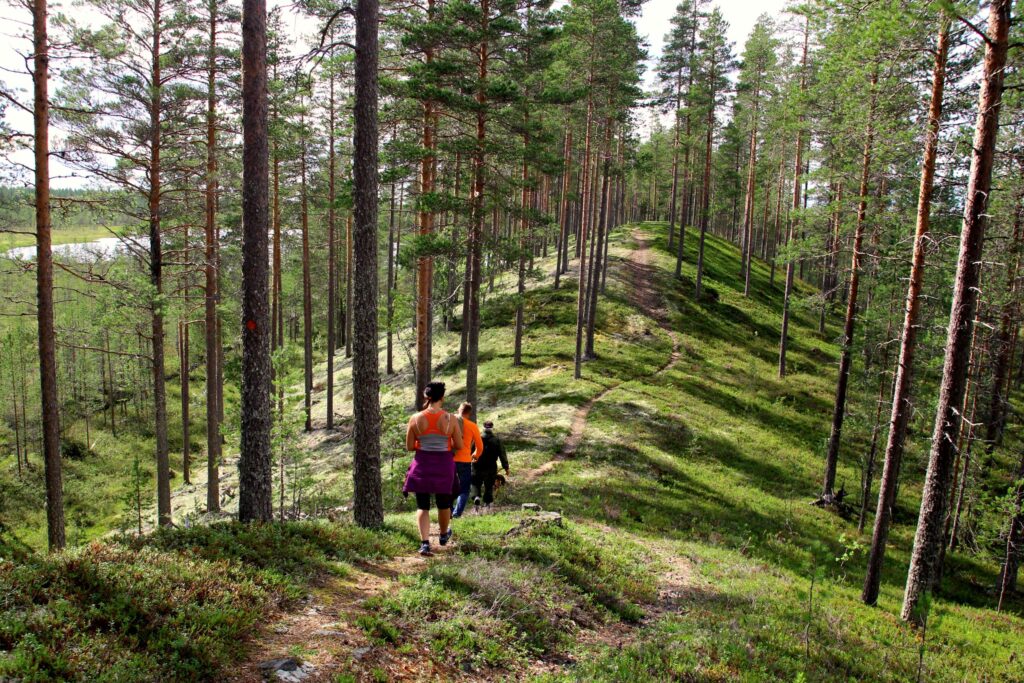 Sustainable development. Hikers walking on a hill. Wellbeing services county of Päijät-Häme.